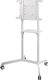 Neomounts Stojak podłogowy NS-M1250WHITE 37'' - 70'' 1