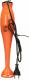 Blender Clatronic SM 3577 5