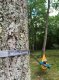 Eno Helios XL, Grey 7