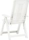 vidaXL Rozkładane krzesła do ogrodu, 2 szt., plastikowe, białe 6