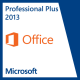 Microsoft Office 2013 Professional Plus OLP NL Government (79P-04763) 1