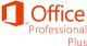 Microsoft Office 2013 Professional Plus OLP NL Government (79P-04763) 1
