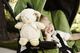 Cloud B Cloud b®Sleep Sheep On The Go™-Pozytywka Owieczka w podróży 3