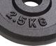 vidaXL Obciążniki żeliwne, 8 sztuk, 20 kg (91391) 2
