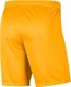 Nike Nike Dry Park III shorty 739 : Rozmiar - M (BV6855-739) - 22060_190960 1