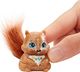 Figurka Mattel Enchantimals Wiewiórka Stumper (GLH38) 3