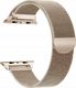 Tech-Protect TECH-PROTECT MILANESEBAND APPLE WATCH 1/2/3/4/5 (38/40MM) GOLD 1
