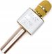 Mikrofon Xrec (SB4519) 2