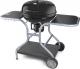 Fieldmann FZG 1014 Grill ogrodowy węglowy 54 cm x 54 cm 1