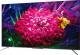 Telewizor TCL 55C715 QLED 55'' 4K Ultra HD Android 1