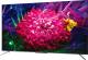 Telewizor TCL 65C715 QLED 65'' 4K Ultra HD Android 1