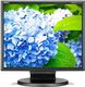 Monitor NEC MultiSync E172M (60005020) 1