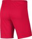 Nike Nike JR Park III Knit shorty 635 : Rozmiar - 122 cm (BV6865-635) - 22070_191009 1