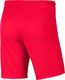 Nike Nike JR Park III Knit shorty 635 : Rozmiar - 140 cm (BV6865-635) - 22070_191011 2