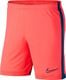 Nike Nike Dry Academy shorty 644 : Rozmiar - L (AJ9994-644) - 21867_189792 1