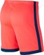 Nike Nike Dry Academy shorty 644 : Rozmiar - L (AJ9994-644) - 21867_189792 4