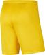 Nike Szorty JR Park III Knit 719 r. 164 cm (BV6865-719) 1