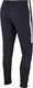Nike Nike JR Academy 19 Spodnie treningowe 451 : Rozmiar - 152 cm (AJ9291-451) - 14740_177295 1
