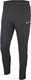Nike Nike JR Academy 19 Spodnie treningowe 060 : Rozmiar - 152 cm (AJ9291-060) - 14529_187738 2