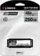 Dysk SSD Kingston SKC2500 250 GB M.2 2280 PCI-E x4 Gen3 NVMe (SKC2500M8/250G) 5