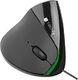 Mysz Techly Ergonomiczna (IM 1000-VM) 1
