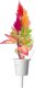 Click And Grow Click and Grow refill celozja 3-pak 1