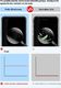 Hurtel Shark Full Body Film antybakteryjna samoregenerująca się folia ochronna na cały telefon (przód + tył) iPhone 8 Plus / iPhone 7 Plus 20