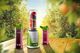Blender kielichowy Concept SM3365 1
