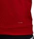 Adidas Bluza męska Team 19 Hoody czerwona r. S (DX7335) 2