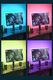 Taśma LED Baseus 5W/m 5V RGB multikolor (BSU1495) 12