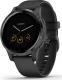 Zegarek sportowy Garmin Vivoactive 4S Czarny  (010-02172-12) 1