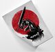 Feeby Plakat, Berserk anime 50x70 2