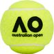 Dunlop Piłki do tenisa ziemnego Dunlop Australian Open 4szt 1