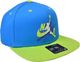 Nike JORDAN PRO CAP JM CLSCS CEMENT 2