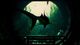 Maneater Xbox One 6