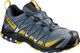 Buty trekkingowe męskie Salomon Buty męskie Xa Pro 3d Gtx niebieskie r. 44 (409759) 1