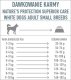 Nature’s Protection NATURES PROTECTION PIES 10 kg SUPERIOR  CARE WHITE DOG WHITE FISH ADULT SMALL (NPSC45668) - NPSC45668 1