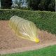 Nature Folia 1000 cm x 250 cm (419750) 1