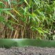 Nature Nature Bariera korzeniowa, 0,75 x 2,5 m, HDPE, zielona 1