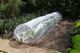 Nature Folia 300 cm x 60 cm x 45 cm (403681) 1