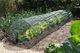 Nature Folia 300 cm x 60 cm x 45 cm (403681) 2