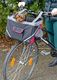 Kerbl Torba dla psa, transporter na rower 38 cm 5