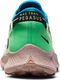 Nike Buty biegowe Nike Pegasus Trail 2 M CK4305 41 2