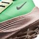 Nike Buty biegowe Nike Pegasus Trail 2 M CK4305 41 7