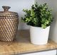 D-c-Fix Folia Okleina Samoprzylepna Meblowa Drewno DĄB RIBBEC 90x50 C105 7