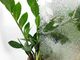 Dekoban Folia Okleina Okienna Statyczna Na Szyby LIŚCIE 3D 45x150 G60 2