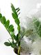 Dekoban Folia Okleina Okienna Statyczna Na Szyby LIŚCIE 3D 45x150 G60 5