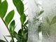 Dekoban Folia Okleina Okienna Statyczna Na Szyby BAMBUS 3D 45x150 G58 5