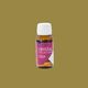 La Pajarita Lakier Crystal Glass 50 ml Ochra 1