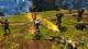 Kingdoms of Amalur: Re-Reckoning PS4 11